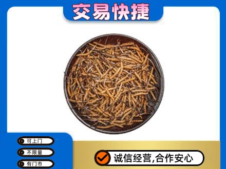 阳江礼品回收虫草.jpg